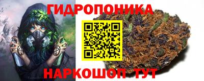 jwh Беслан