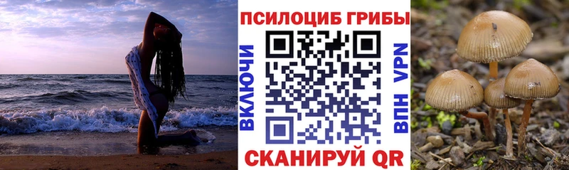 Галлюциногенные грибы Magic Shrooms  маркетплейс какой сайт  Бердск  мега маркетплейс 