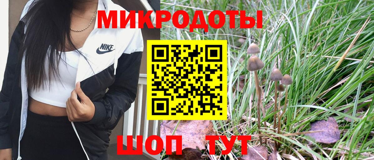 Псилоцибиновые грибы прущие грибы Бердск