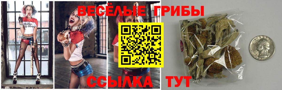 Псилоцибиновые грибы ЛСД Бердск