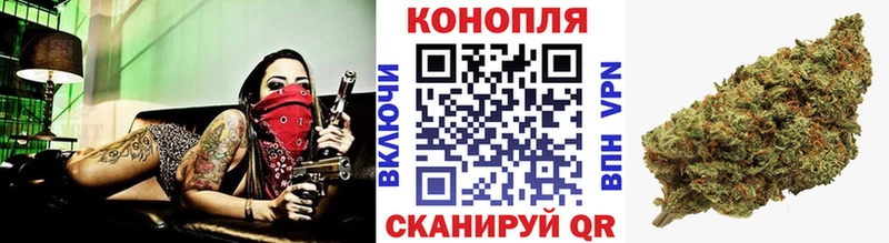 Бошки марихуана семена  где можно купить   Бердск 